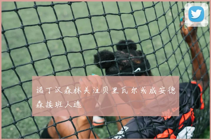 诺丁汉森林关注贝里瓦尔或成安德森接班人选